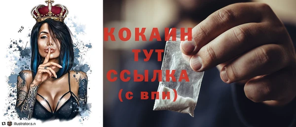 тгк Алзамай