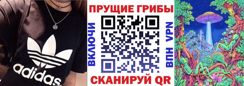 Галлюциногенные грибы мицелий  продажа наркотиков  Кириши 